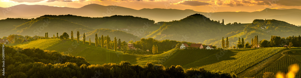 Fototapeta Krajobraz winnic południowej styrii, niedaleko Gamlitz, Austria, Eckberg, Europa. Wzgórza winogron widok z drogi wina na wiosnę. Miejscowość turystyczna, panorama