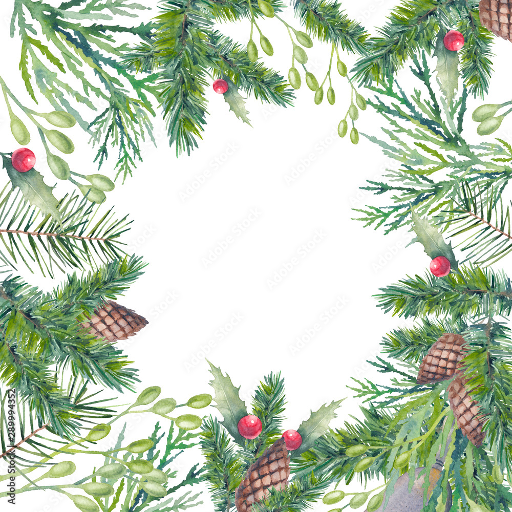 Watercolor Christmas tree, holly and mistletoe border. Hand painted vintage frame with branches, pinecone, berries and leaves isolated on white background. Traditional evergreen frame