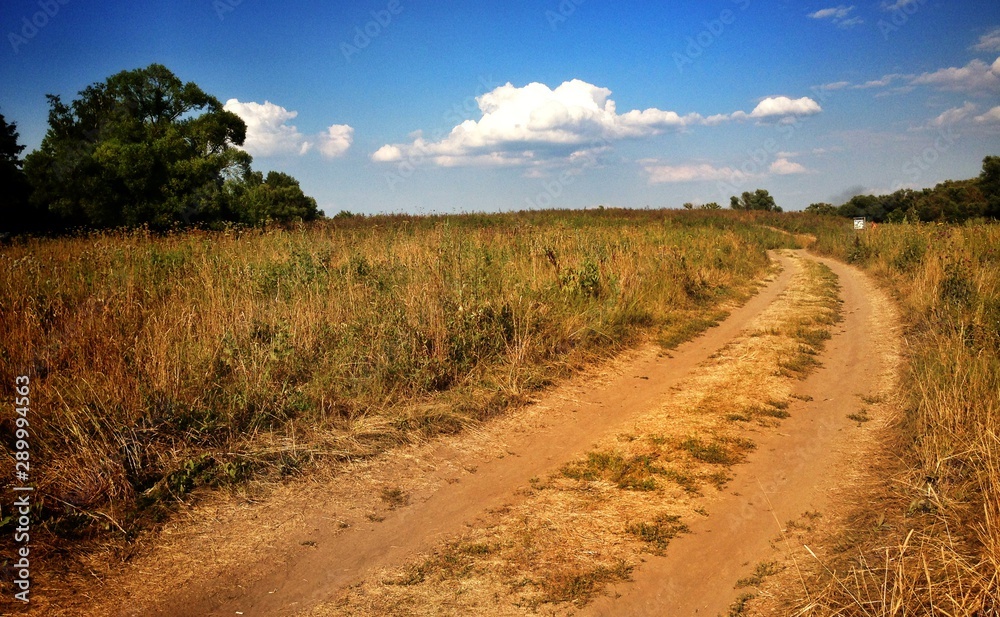 endless Russian field and blue sky with clouds on a Sunny day