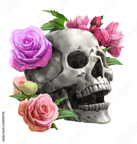  Creepy human skull for horror, Halloween or death themed.with rose. illustration painting of digital art style photo