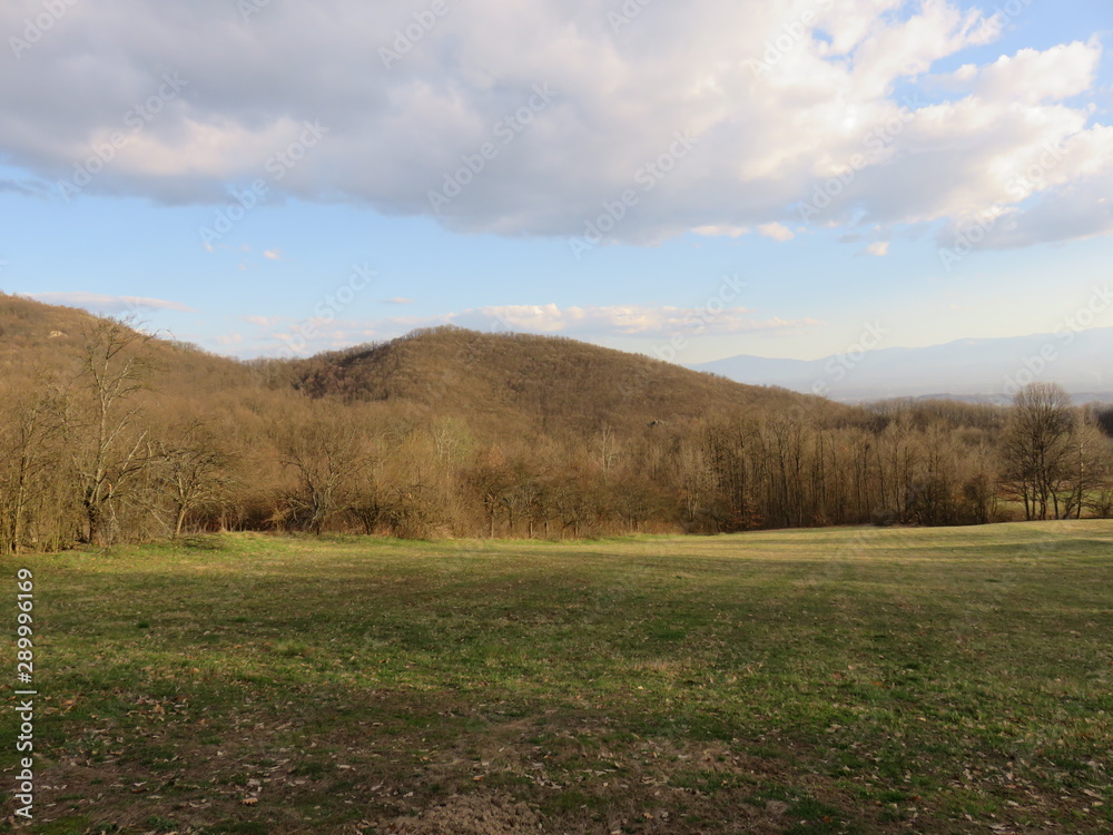 Mountain pasture in spring Bukovik Serbia
