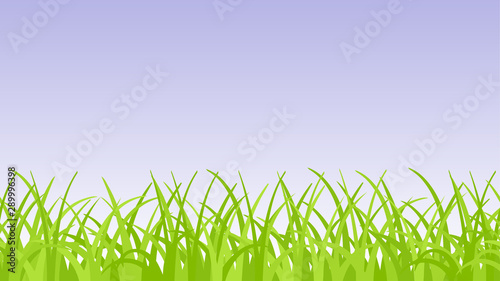 Vector green grass and blue sky seamless border