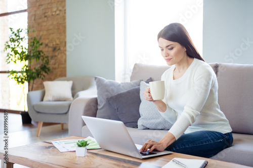 Portrait of her she nice winsome attractive lovely peaceful focused smart clever girl drinking hot latte sitting on sofa making online startup in light white interior living-room indoors © deagreez