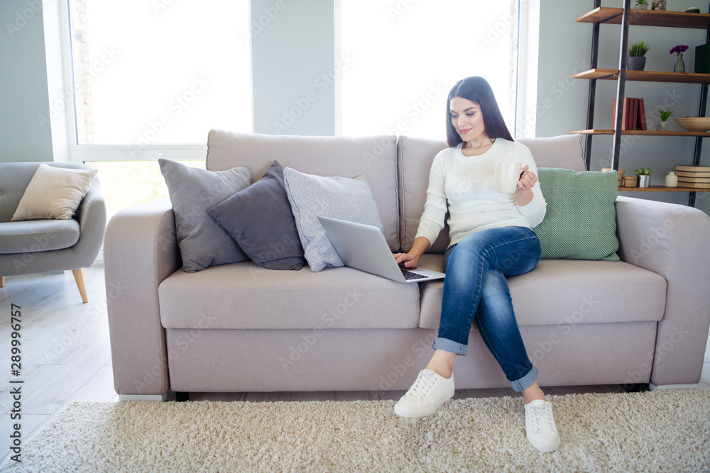 Portrait of her she nice attractive lovely peaceful focused clever smart girl blog blogger making online startup using laptop wi-fi sitting on sofa in light white interior living-room indoors