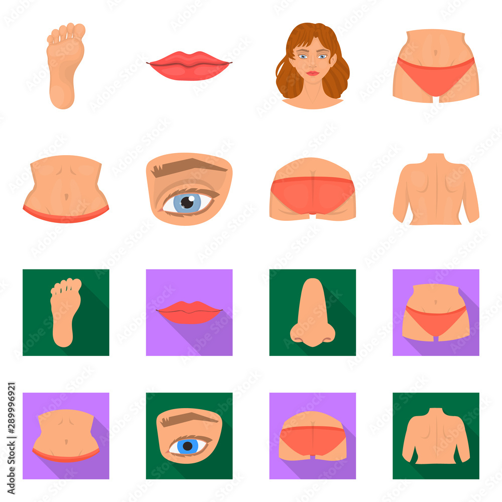 Vector illustration of body and part sign. Collection of body and anatomy vector icon for stock.