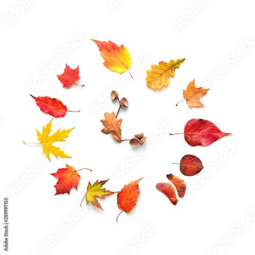 Autumn Time - clock of bright autumn leafs. Autumn leaves, nuts and acorns in shape of clock on white background, flat lay, top view. Fall season concept. Autumn frame. Copy space