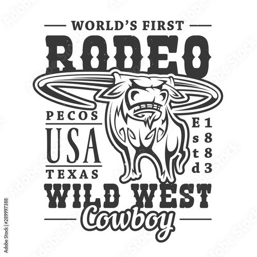 Wild West, Western American rodeo bull