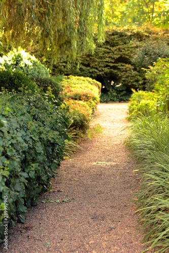 path in a green park