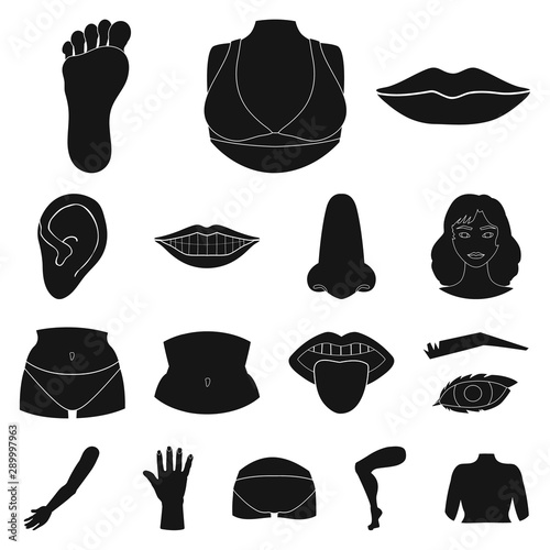 Isolated object of body and part logo. Collection of body and anatomy vector icon for stock.