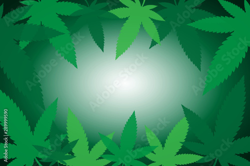 Marijuana leaves background