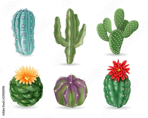 Realistic cactuses. Decorative desert exotic cactus prickly plants. Wild and houseplant succulent cacti. 3d isolated vector set. Home interior cactus, green cacti with prickly illustration