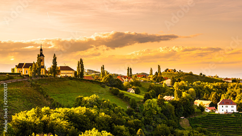 Autumn Landscape panorama of vineyard on an Austrian countryside during sunset in Kitzeck im Sausal photo