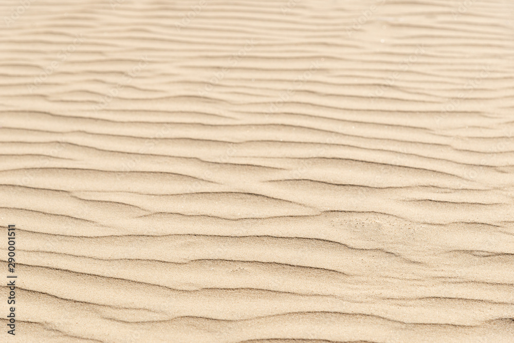 nature background of smooth sand wave texture nature background of smooth sand wave texture