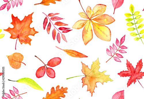 Seamless pattern of autumn leaves watercolor, red, orange and yellow leaves on white background for autumn fall and Thanksgiving banners