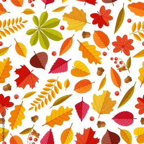Autumn leaves pattern. Abstract repeating fall leaf, colorful foliage texture for wallpaper and gift cards, seamless vector print. Illustration pattern botany dry leaf, forest foliage plant