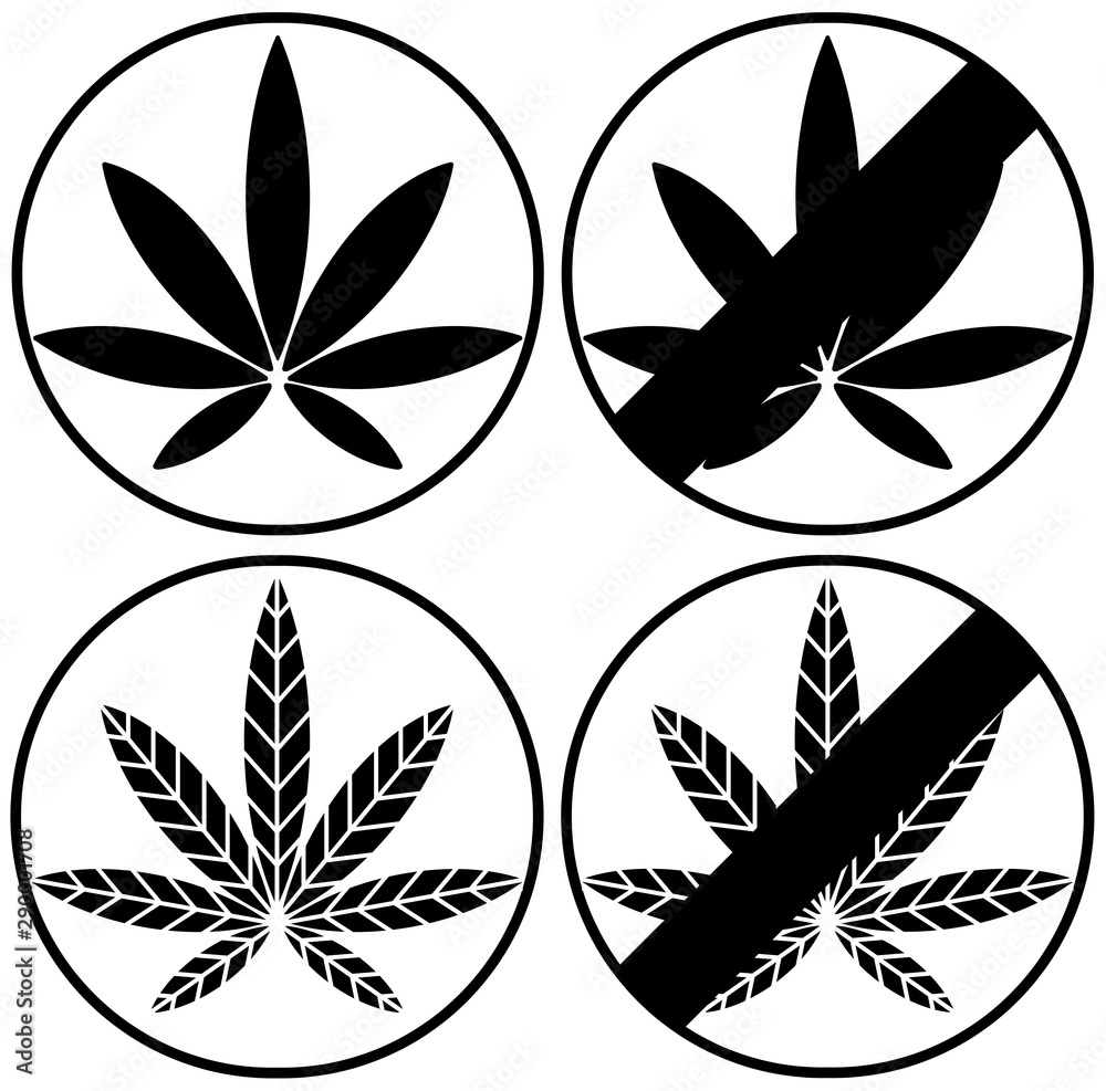 A set of a marijuana sign, one is prohibited and one is not prohibited. Simply flat design isolated on white background. A symbolic icon graphic for web, logo, app, banner and etc.
