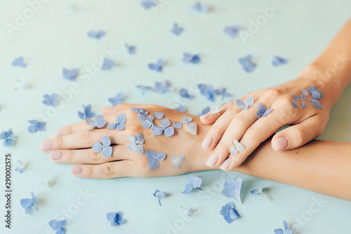 Small blue flowers and petals on the skin of female hands with fresh nude manicure. The procedure for beauty and care. Place for text and phrases. © Ilona