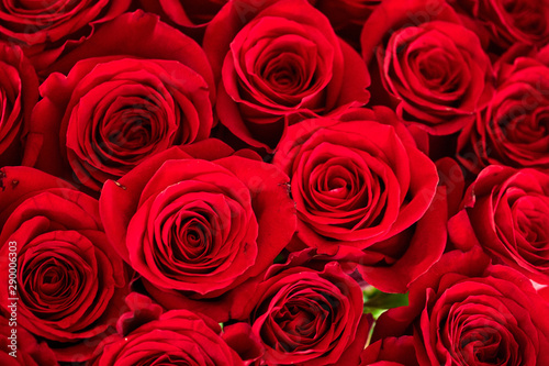 bouquet of red beautiful roses close up