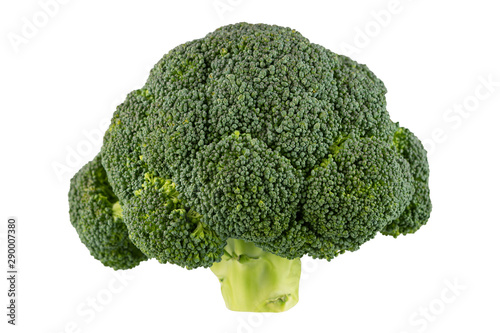big cabbage broccoli on a white background, front view