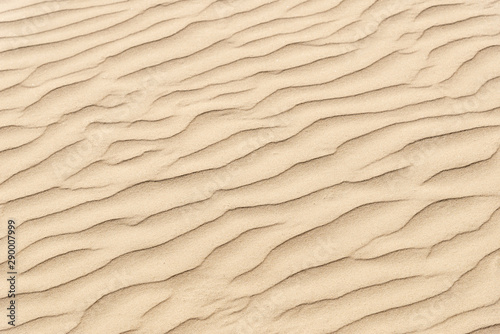 nature background of smooth sand wave texture