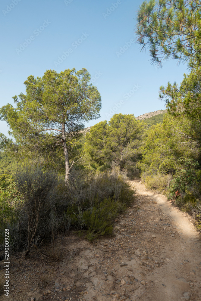 The natural park of the desert of las palmas in Castellon The natural park of the desert of las palmas in Castellon