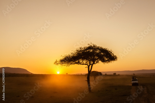 African sunrise with acacia trees and safari car in Masai Mara, Kenya. Savannah background in Africa. Safari concept