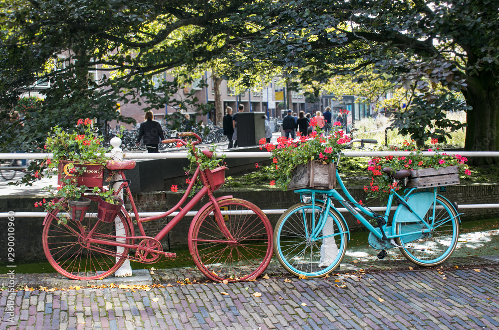 bicycles garden