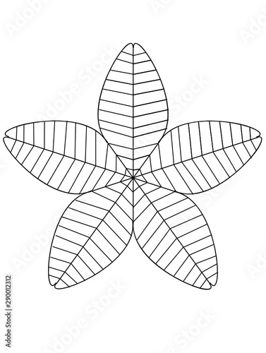 vector illustration of a leaf  © Uncle Ulee