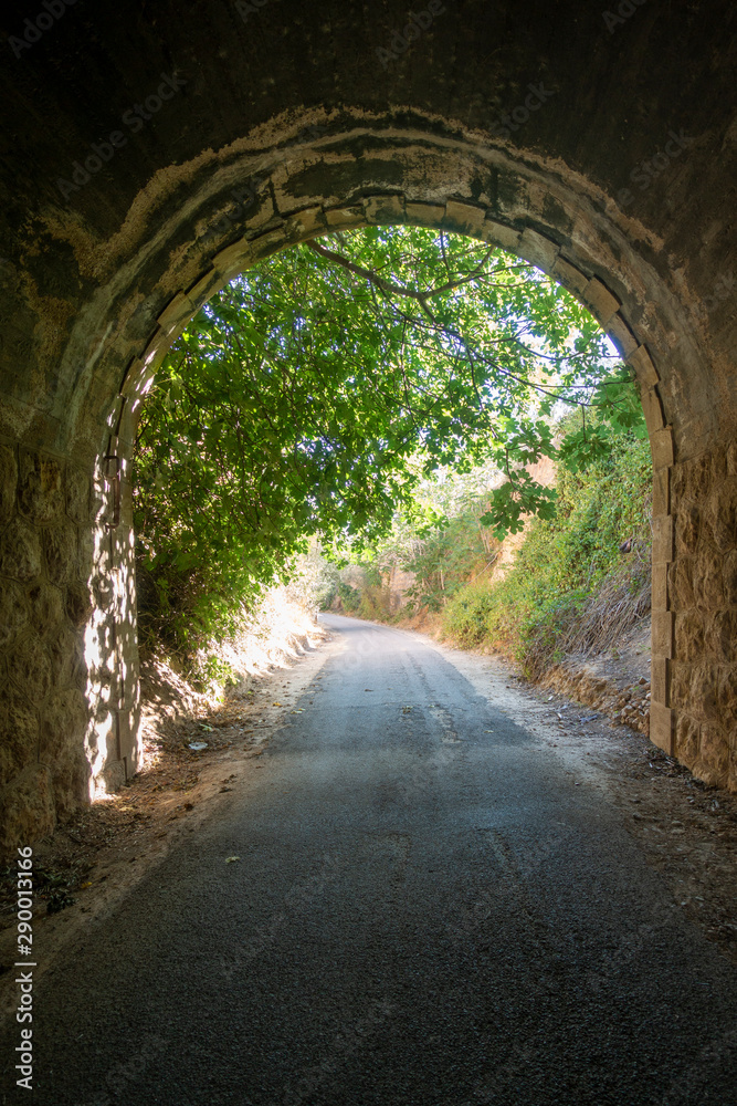 Fototapeta premium The green road of the Ebro in Tarragona