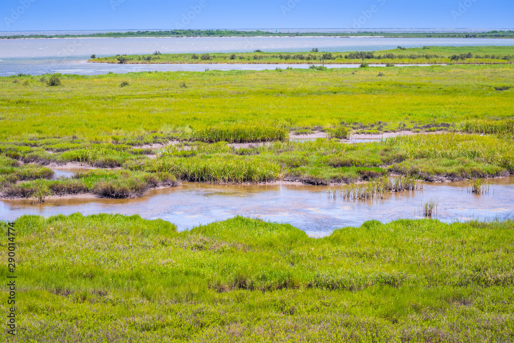 The huge wetlands of Aransas NWR, Texas