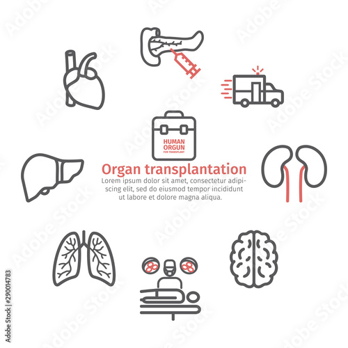 Organ transplantation banner, line icons set. Vector signs for web graphics.