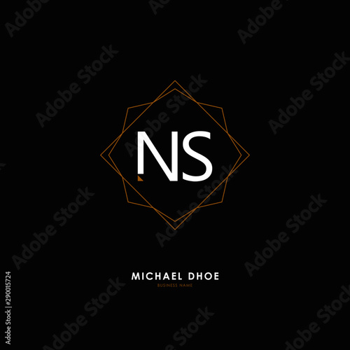 N S NS Initial logo letter with minimalist concept. Vector with scandinavian style logo.