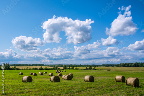 Fields after work in farm, outside the urban