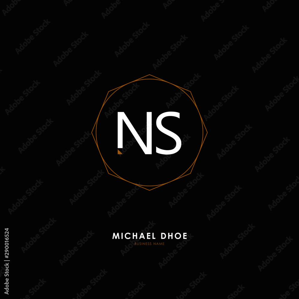 N S NS Initial logo letter with minimalist concept. Vector with scandinavian style logo. N S NS Initial logo letter with minimalist concept. Vector with scandinavian style logo.