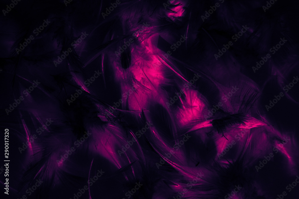 Beautiful closeup textures abstract colorful dark black and pink feathers and darkness pattern feather wallpaper and background