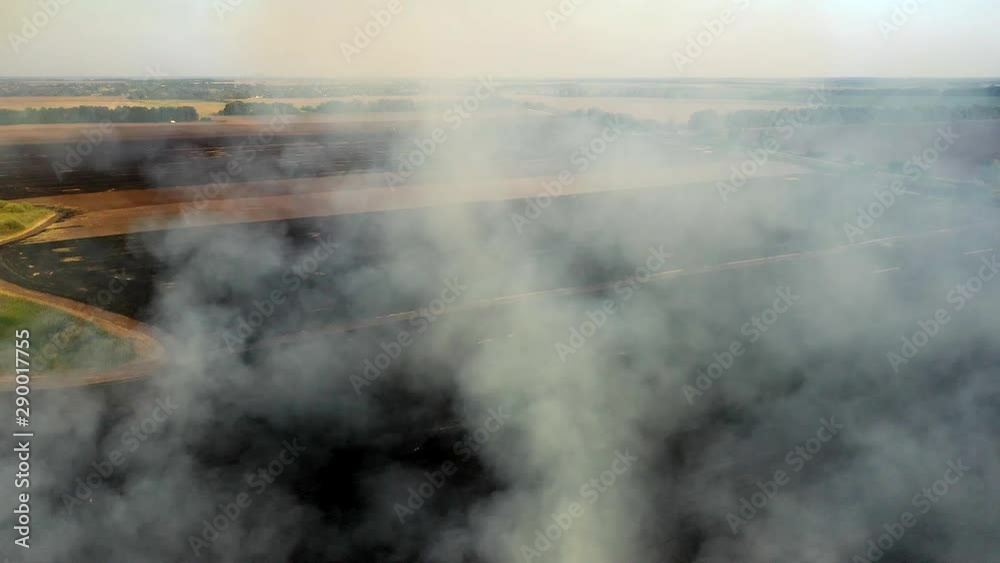 Aerial view from drone farmer Burning dry grass. Fire in a field aerial view. Fire on autumn fields. Aerial view from drone farmer Burning dry grass. Fire in a field aerial view. Fire on autumn fields.