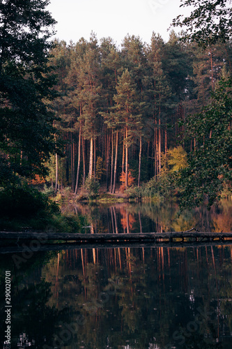 Fototapeta Naklejka Na Ścianę i Meble -  Hipster toned fall landscape on lake with fir trees.