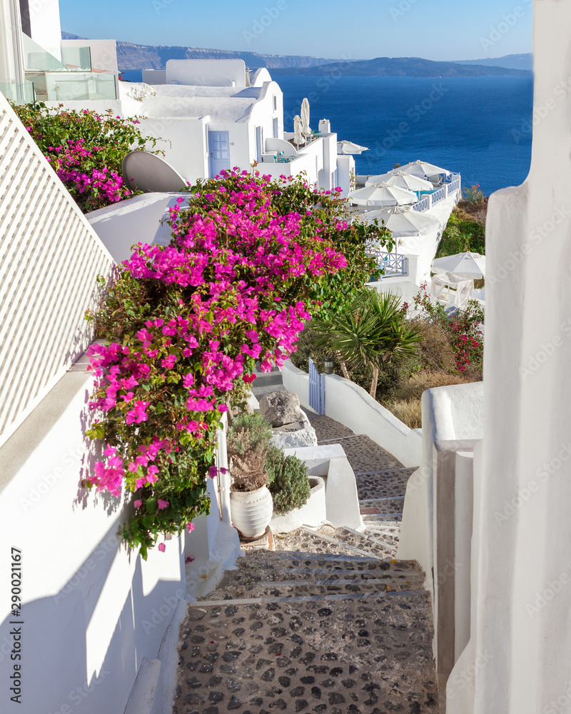 Picturesque flowering stairs with pink blooming bougainvillea leading to the sea, Santorini, Greece. - obrazy, fototapety, plakaty 