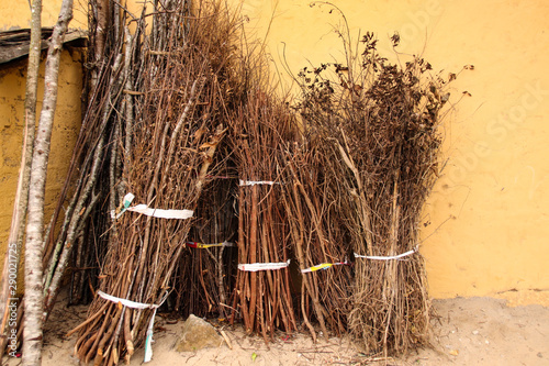 Twigs and branches used for firewood by the Black Lolo Tribe in Lung Cu, Hagiang Province in Vietnam photo