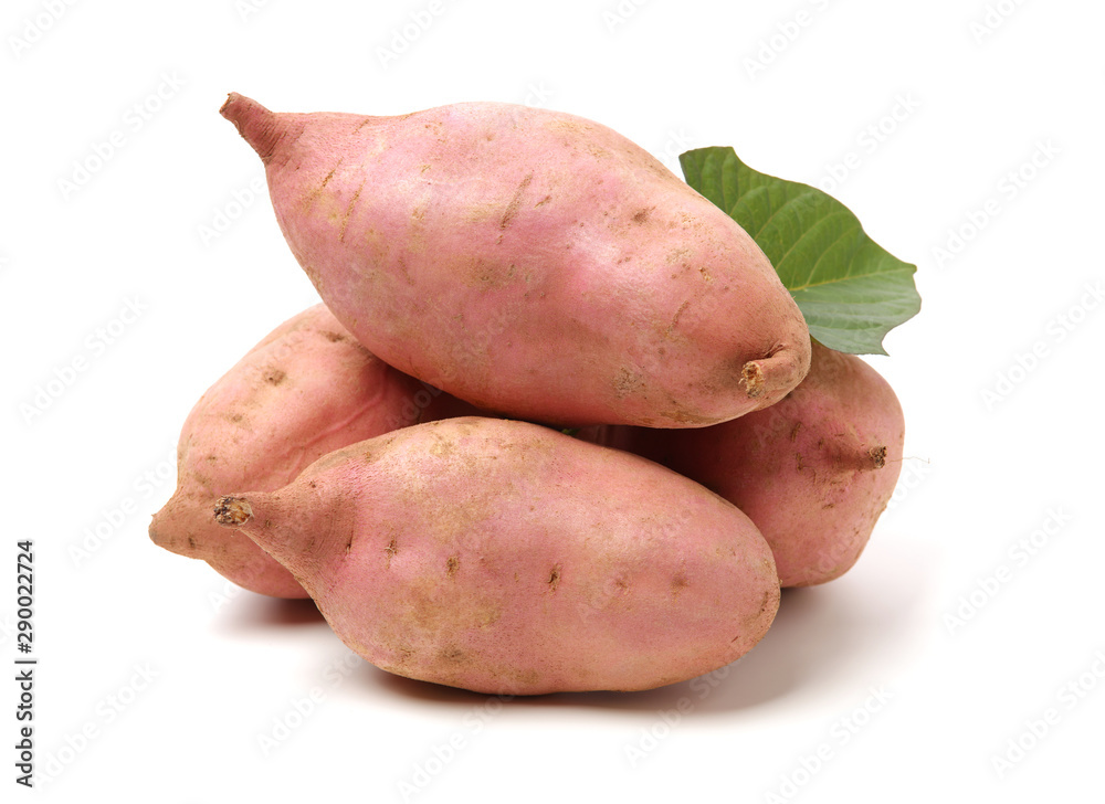sweet potatoes on the white background sweet potatoes on the white background