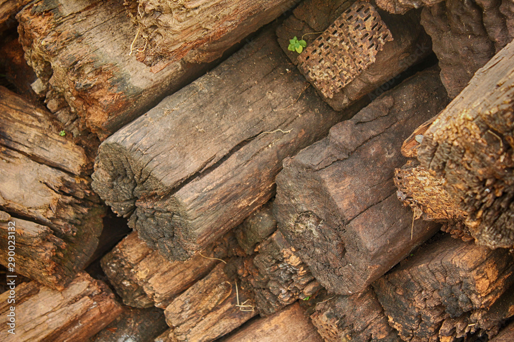 Old pile of wood debris. Old pile of wood debris.