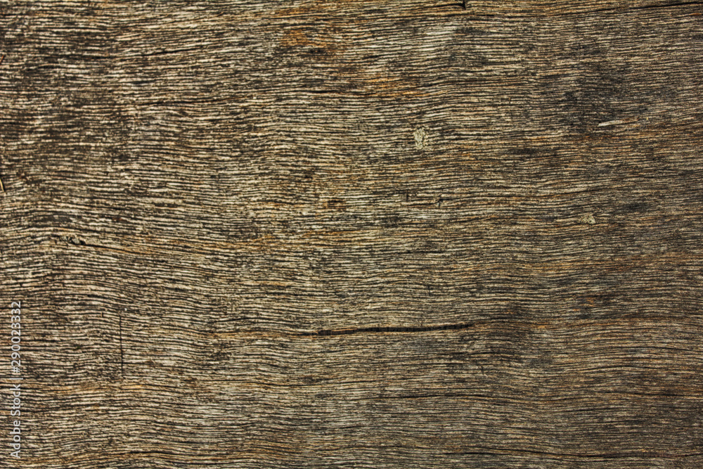 Dark brown bark and Old wood pattern Dark brown bark and Old wood pattern