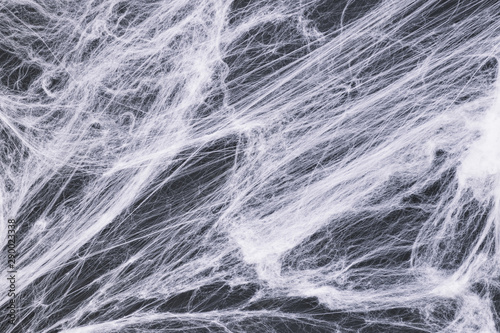 Fake cobweb on dark background