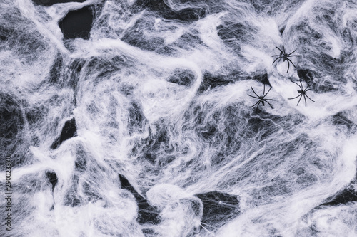 Fake cobweb and spiders © Freepik