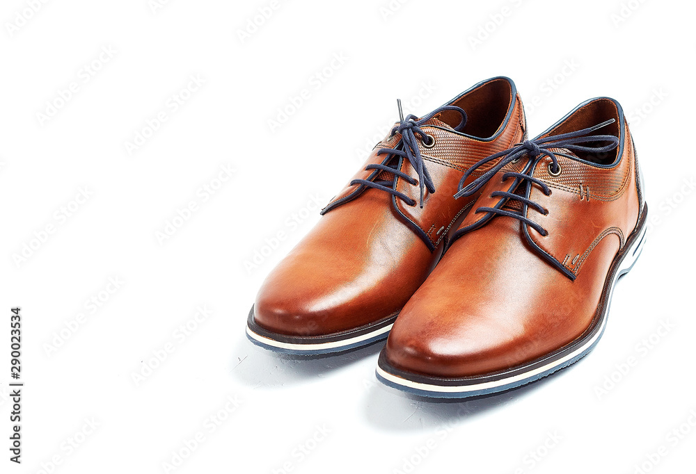 luxurious male brown and blue leather shoes isolated on a white luxurious male brown and blue leather shoes isolated on a white