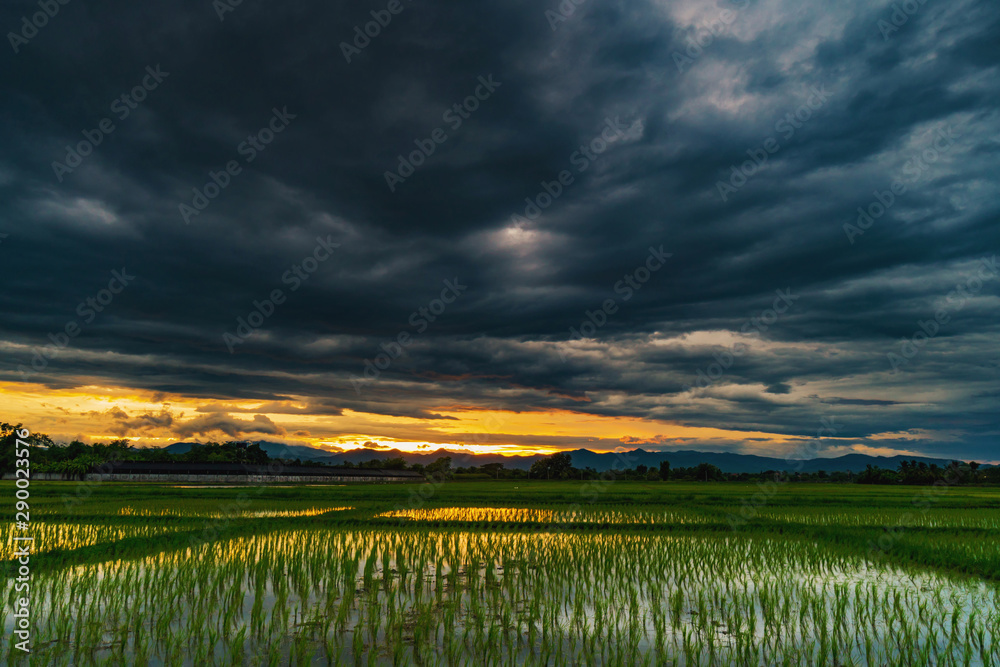 Fotografie Natural scenic beautiful field sunset and storm clouds and green field agricultu