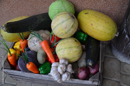 owocw-warzywa ,jedzenie, jarzyna, pomidor, jarzyna, swiezy, papryczka, zieleń, owoc, zdrowa, ogórek, czerwień, wegetarianin, rynek, naturalny, cebula, dojrzałe, dieta, nieugotowany, zółty, jesienią, r