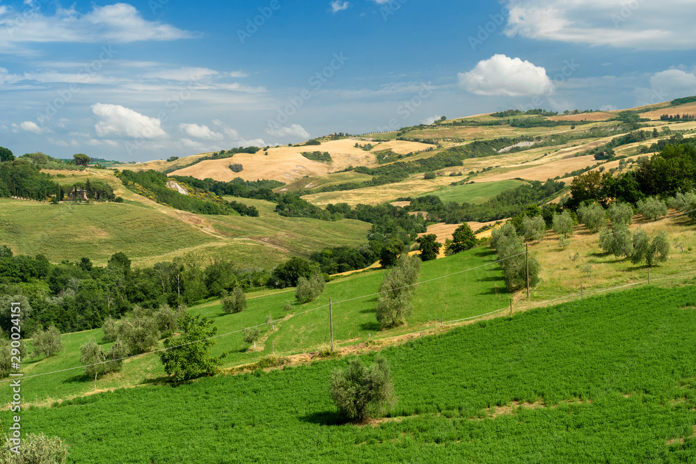 Summer landscape in Tuscany near Volterra