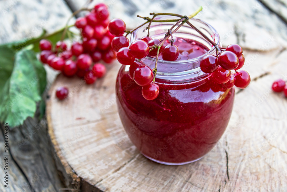 Viburnum fruit jam in a glass jar on a wooden table near the ripe red viburnum berries. Source of natural vitamins. Used in folk medicine. Viburnum fruit jam in a glass jar on a wooden table near the ripe red viburnum berries. Source of natural vitamins. Used in folk medicine.