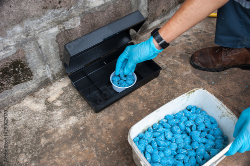 Get rid of rat using  bait poison box, pest control in industry.